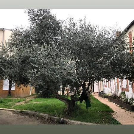 Oceane Apartman *